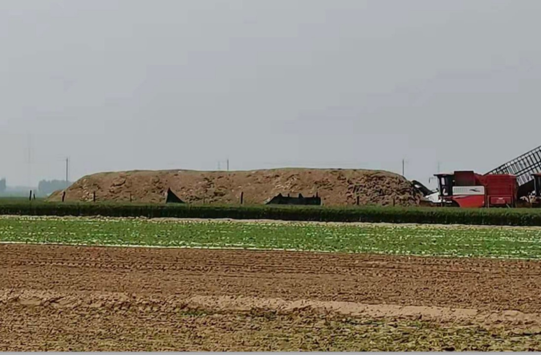 因?yàn)樾湃?,甘?dāng)鄭州中聯(lián)排頭兵